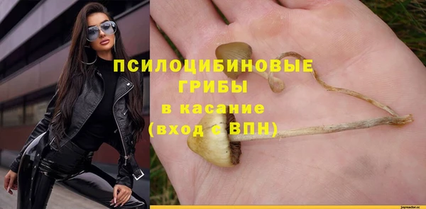 гашик Переславль-Залесский
