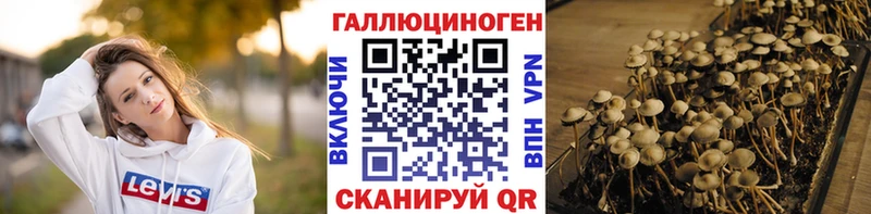 Галлюциногенные грибы Cubensis Усть-Кут